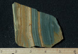 Succor Creek Jasper 494