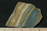 Succor Creek Jasper 487