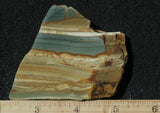 Succor Creek Jasper 496