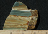 Succor Creek Jasper 496