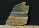 Succor Creek Jasper 492