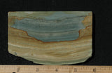 Succor Creek Jasper 491