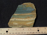 Succor Creek Jasper 489