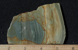 Succor Creek Jasper 480