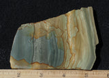 Succor Creek Jasper 486