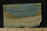 Succor Creek Jasper 484