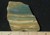 Succor Creek Jasper 483