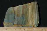 Succor Creek Jasper 482