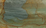 Succor Creek Jasper 482