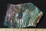 Bloodstone Rock Slab 65