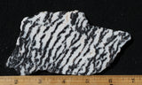 Zebra Lace Agate Rock Slab 181