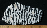 Zebra Lace Agate Rock Slab 182