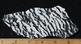 Zebra Lace Agate Rock Slab 183