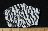 Zebra Lace Agate Rock Slab 184