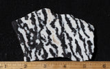 Zebra Lace Agate Rock Slab 187