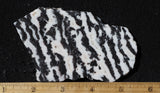 Zebra Lace Agate Rock Slab 186