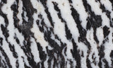 Zebra Lace Agate Rock Slab 185