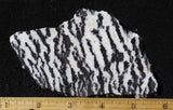 Zebra Lace Agate Rock Slab 185