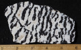 Zebra Lace Agate Rock Slab 188