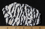 Zebra Lace Agate Rock Slab 189