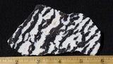 Zebra Lace Agate Rock Slab 196