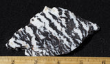 Zebra Lace Agate Rock Slab 192