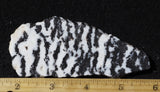 Zebra Lace Agate Rock Slab 190