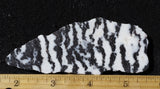 Zebra Lace Agate Rock Slab 199