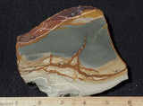 Cripple Creek Jasper Rock Slab 74