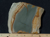 Cripple Creek Jasper Rock Slab 73