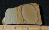 Wild Horse Picture Jasper Rock Slab 499