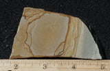 Wild Horse Picture Jasper Rock Slab 497