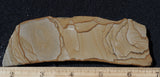 Wild Horse Picture Jasper Rock Slab 496