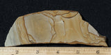 Wild Horse Picture Jasper Rock Slab 495