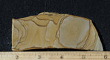 Wild Horse Picture Jasper Rock Slab 494