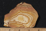 Oregon Picture Jasper Rock Slab 483