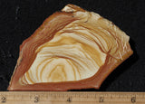 Oregon Picture Jasper Rock Slab 493