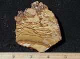 Oregon Picture Jasper Rock Slab 498