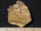 Oregon Picture Jasper Rock Slab 498