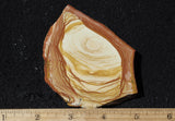 Oregon Picture Jasper Rock Slab 492