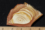 Oregon Picture Jasper Rock Slab 494