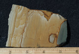 Cripple Creek Jasper Rock Slab 85