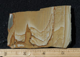 Cripple Creek Jasper Rock Slab 84