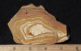 Oregon Picture Jasper Rock Slab 484