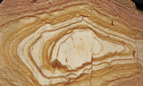 Oregon Picture Jasper Rock Slab 484