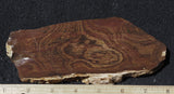Deschutes Jasper Rock Slab 97