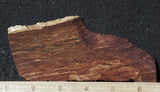 Biggs Jasper Rock Slab 498