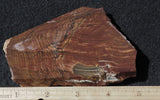 Biggs Jasper Rock Slab 495