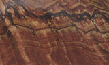 Biggs Jasper Rock Slab 495