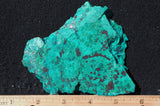 Chrysocolla Rock Slab 487